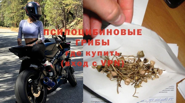 PSILOCYBIN Арсеньев
