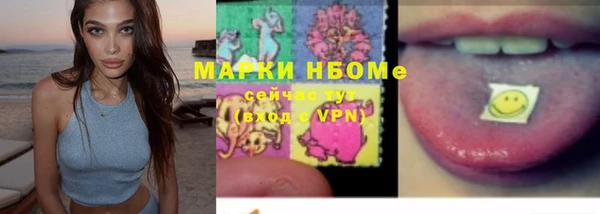 мяу мяу мука Аркадак